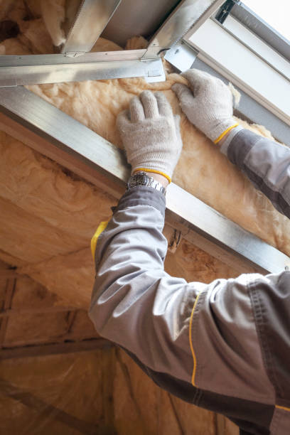 Best Types of Insulation in Volga, SD